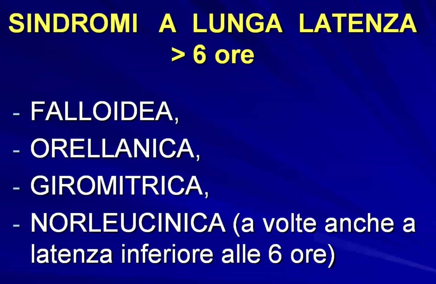 LungaLAt