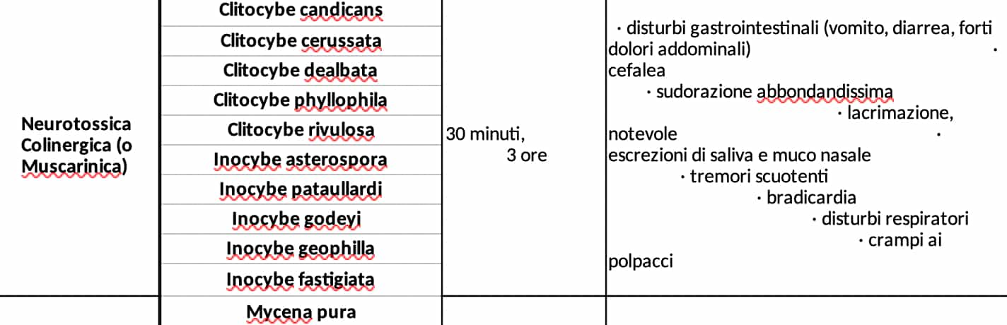 Neurotossica