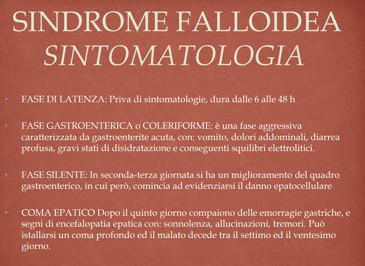 SindromeFalloideaSintomi